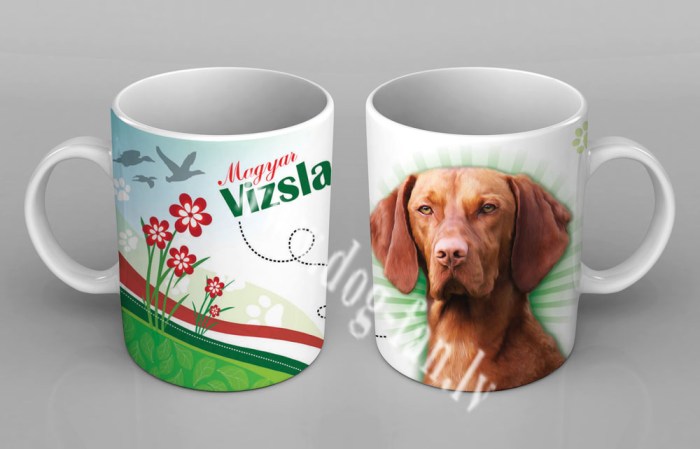 vizlacup copy